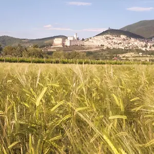 Bed and breakfast Domus Benedicta